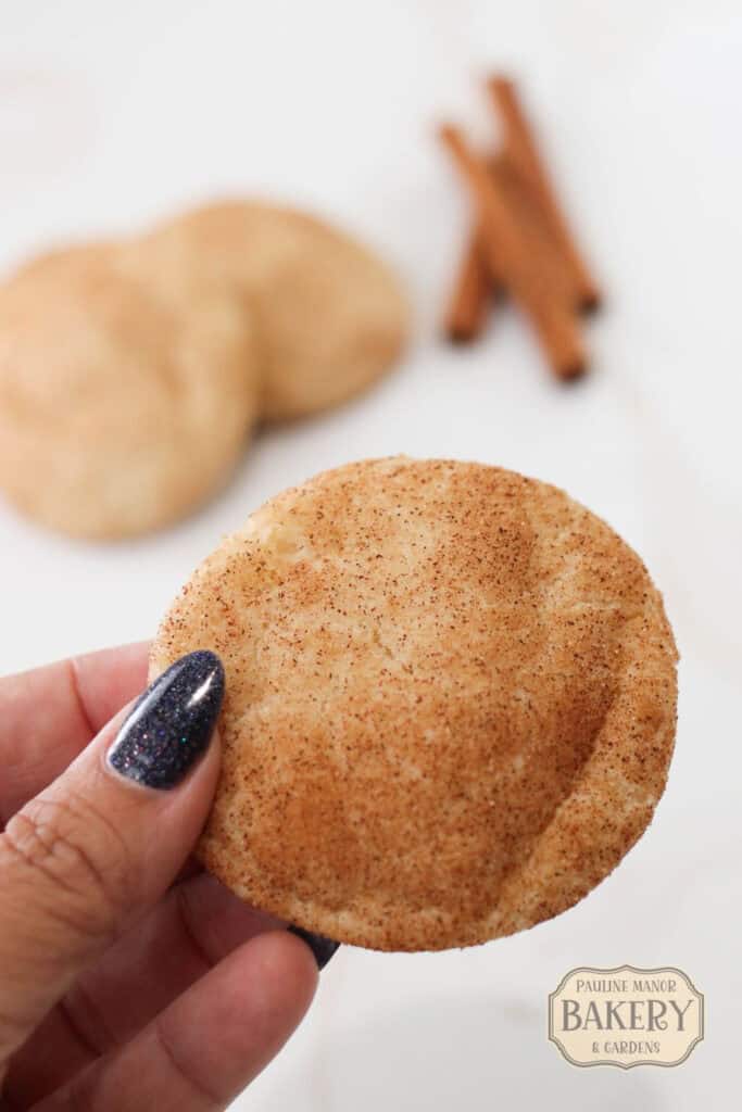 close up of womans hand holding a Sourdough Discard Snickerdoodle Cookie