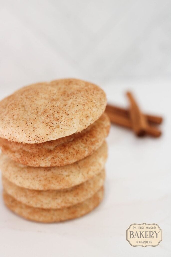 stack of Sourdough Discard Snickerdoodle Cookies with white background