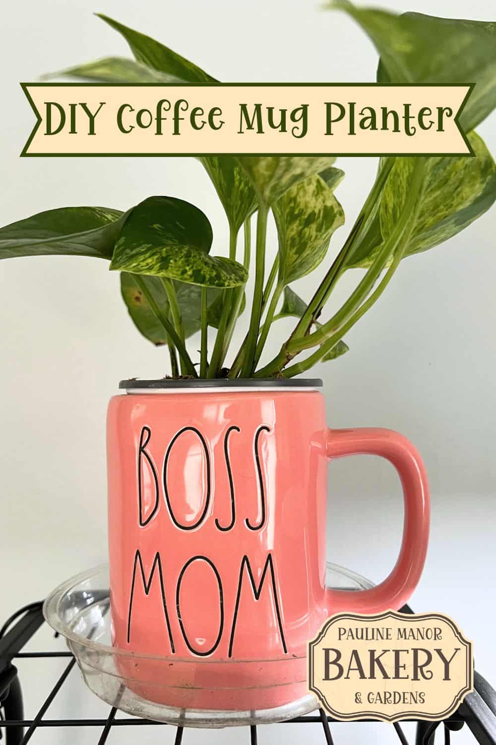 DIY Coffee Mug Planter - Pauline Manor