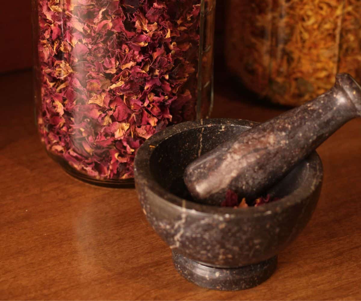 Dried herbs and a mortar and pestle in the Pauline Manor home apothecary