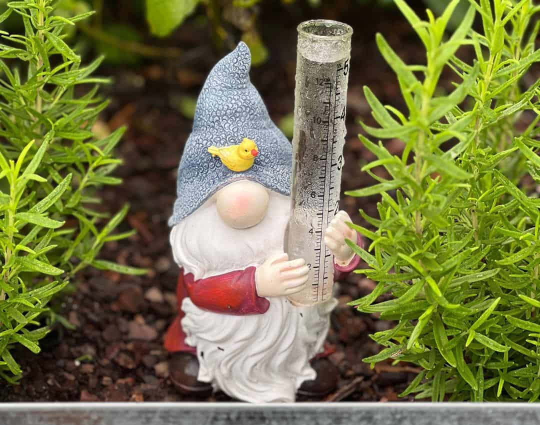 Garden projects and inspiration from Pauline Manor