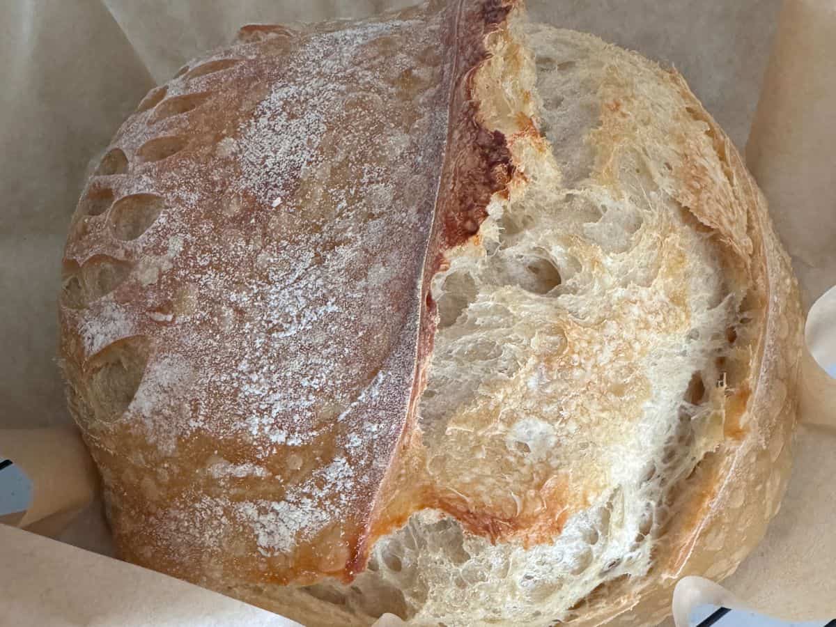Homemade sourdough recipes